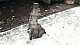   : IMG-b8ee3f93a11a08309fe992b180938ea3-V