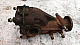   : IMG-3f00e0fbfe4d742403ae1fa1673114e2-V