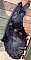 DG40 51 040B: 212